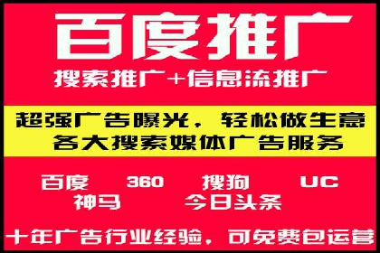 某公司SEO与SEM整合营销的全程记录